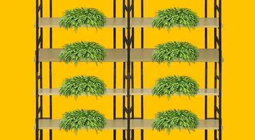 Old Macdonald had a… skyscraper